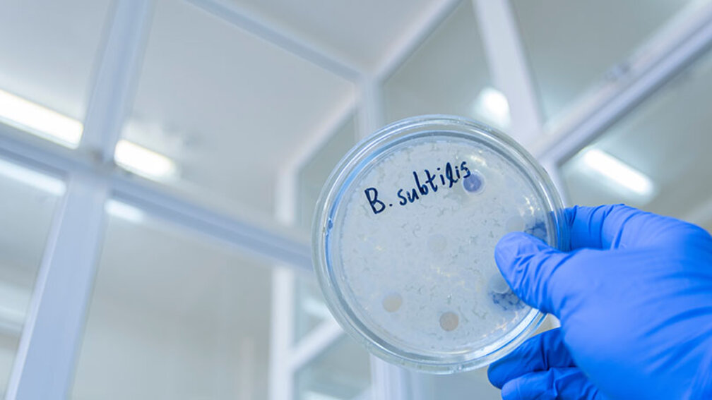 Mikrobe des Jahres Unangenehme Gespräche im Apothekenteam Neue